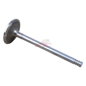 C/HEAD INTAKE VALVE